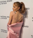 ariana-spine-4.png