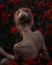 df_spine_035.jpg