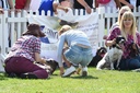 rachel_riley_spine13.jpg